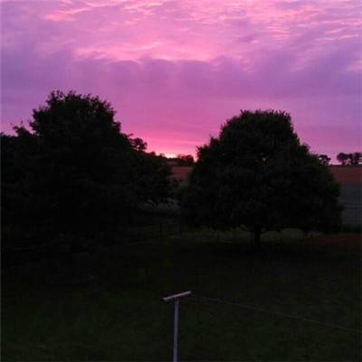 华体会登录手机版下载手机版